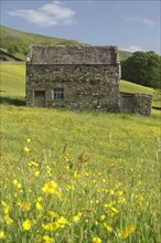 Stone barn in wildflower meadow