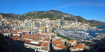 Monte Carlo and the Marina
