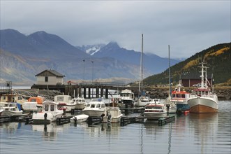 Boats moored at jetty in fjord