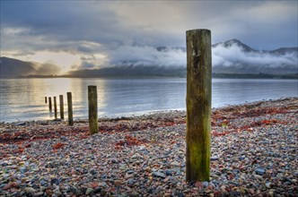 Wooden poles on the shore of the loch at sunset