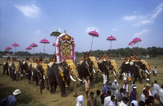 Vallanghy Nenmara Vela festival