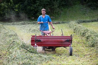 Farmer with small self-propelled truing machine in hay meadow