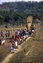 Musicians in front of decorated elephants walking through the narrow ridges of paddy field in Uthralikavu Pooram festival in Wadakanchery near Thrissur or Trichur