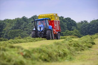 Tractor with forage wagon picking up cut grass
