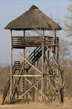 Safari Lookout Tower