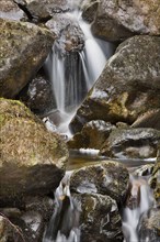 Small waterfall amongst rocks in upland stream