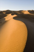 View of sand dunes in desert habitat