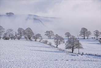 View of farmland and hills covered with snow and mist