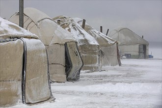 Yurts in the traditional Kyrgyz yurt camp during a snowstorm at Song-Kul Lake