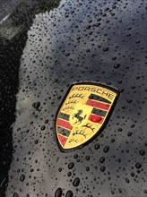 Porsche Crest on bonnet