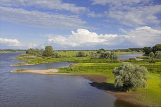 UNESCO Biosphere Reserve Elbe River Landscape in Summer