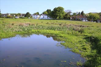 View of village green and pond