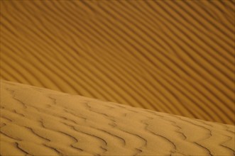 Close-up of desert sand dunes