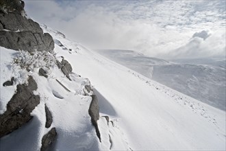 View of bog habitat in snow