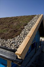 The sedum roof consists of a waterproof membrane covered with soil stonecrop