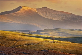 View of upland pastures and snow-capped hills at sunset