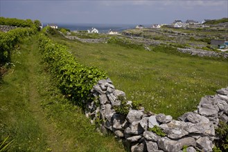 Old path through small fields with limestone walls
