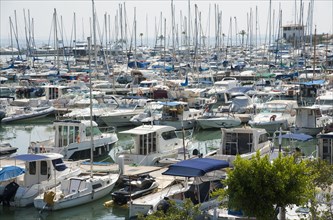Boats moored at floating docks in harbour