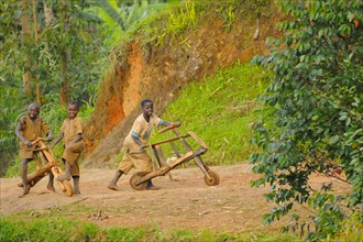 Children playing with wood-made bicycles on track at edge of Nyungwe Forest N. P. Rwanda