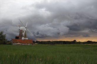 View over coastal reedbed habitat towards windmill and stormclouds
