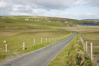 Single lane road through coastal pastures