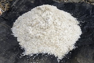 Harvested sea salt