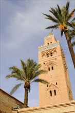 Mosque minaret and palm trees