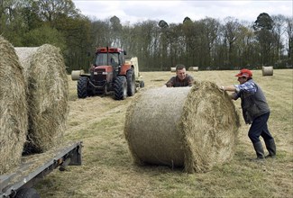Farmers baling and loading round bales of hay