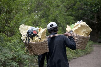 Local man carrying sulphur blocks and gas mask in baskets down from volcano crater