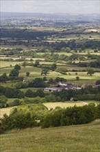 View of farmland