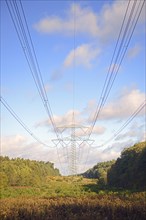 High-voltage power line in the forest aisle