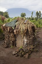 Mud hut in Pygmy village