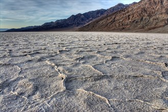 Salt flat with drying and expanding salt crystals