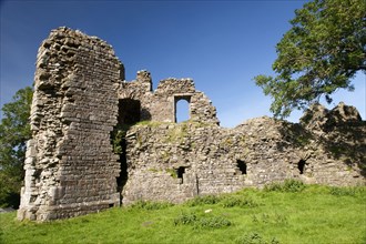 Ruins of castle wall