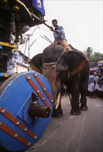 Elephant pushing the temple Chariot