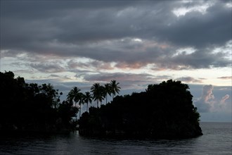 Island with coconut palms silhouetted against clouds at sunset