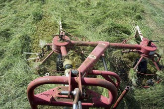 Close-up of a tedder spreading freshly cut grass to wilt better and make good hay