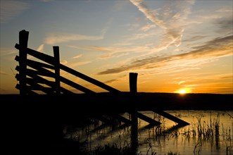 Fencing silhouetted in marshland habitat at sunrise