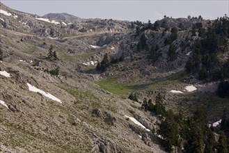 View of a karst limestone landscape with trees of the Greek greek fir