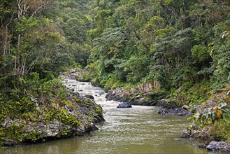 River course through the tropical rainforest of Ranomafana National Park