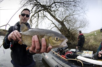 European Chub