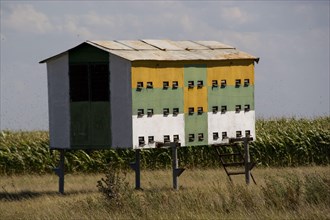 Mobile hives for pollination of flowering plants such as labyrinth and sunflowers