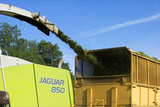 Claas Jaguar 850 forage harvester