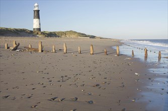 View of eroded groynes on the beach and lighthouse in the evening light