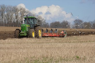 John Deere 4255 tractor pulling Kverneland plough followed by Black-headed Gull and rook flock
