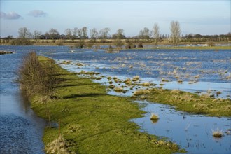 View of a river flooding farmland