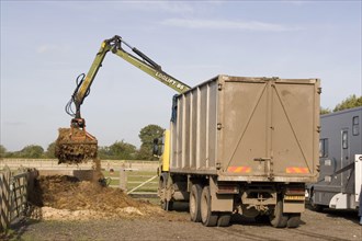 Removal of horse manure from the stable yard