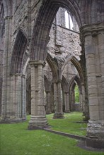 Columns in Cistercian abbey ruins
