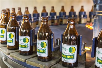 Beer bottles on the assembly line of Brouwerij Henri Maes