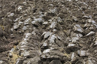 Close-up of furrows in newly ploughed field